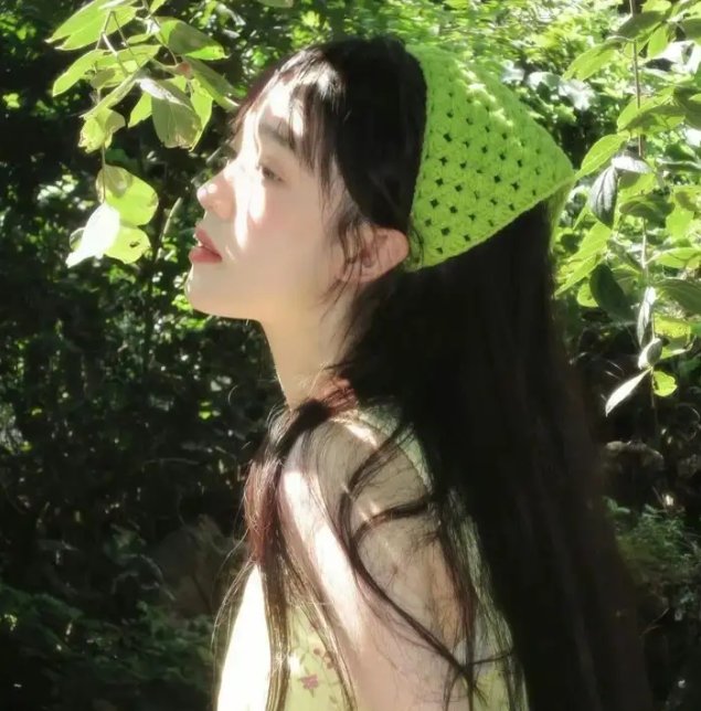 天网擒凶